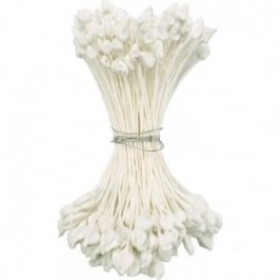 Тичинки бели капка